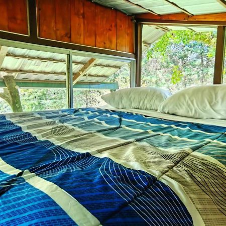 Cabana Treehouse Mountain View San Isidro (Heredia) Exterior foto