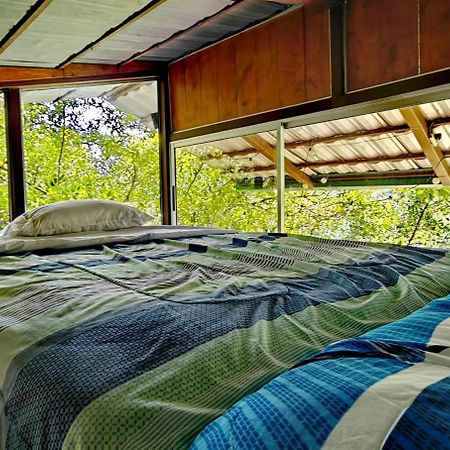 Cabana Treehouse Mountain View San Isidro (Heredia) Exterior foto