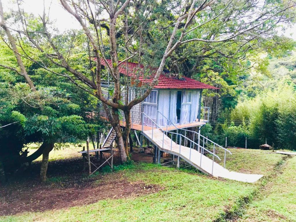 Cabana Treehouse Mountain View San Isidro (Heredia) Exterior foto