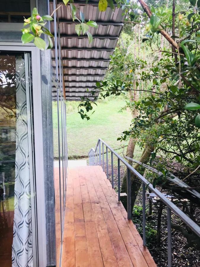 Cabana Treehouse Mountain View San Isidro (Heredia) Exterior foto