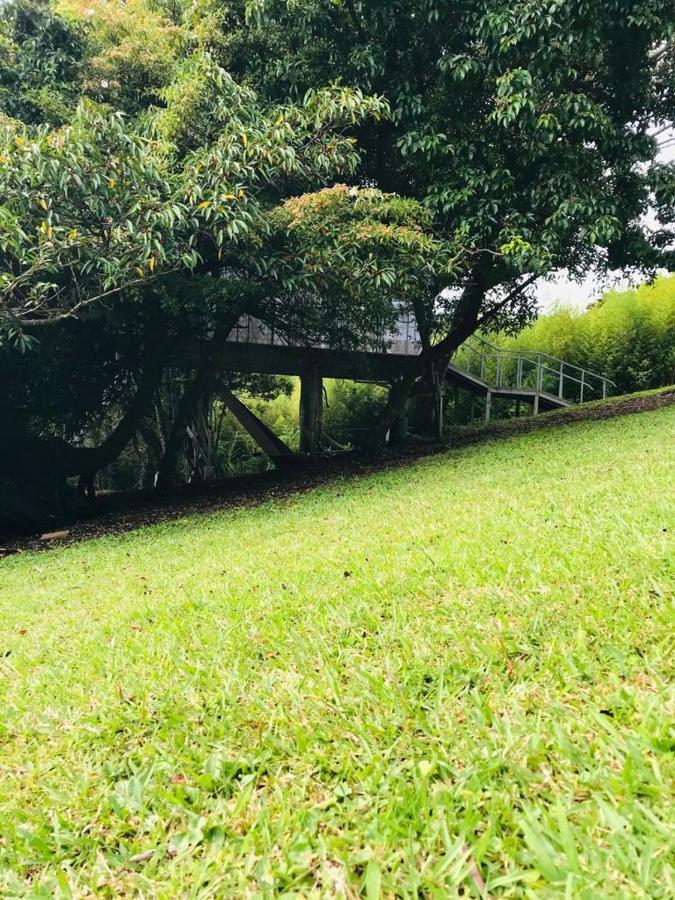 Cabana Treehouse Mountain View San Isidro (Heredia) Exterior foto