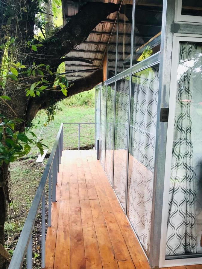 Cabana Treehouse Mountain View San Isidro (Heredia) Exterior foto