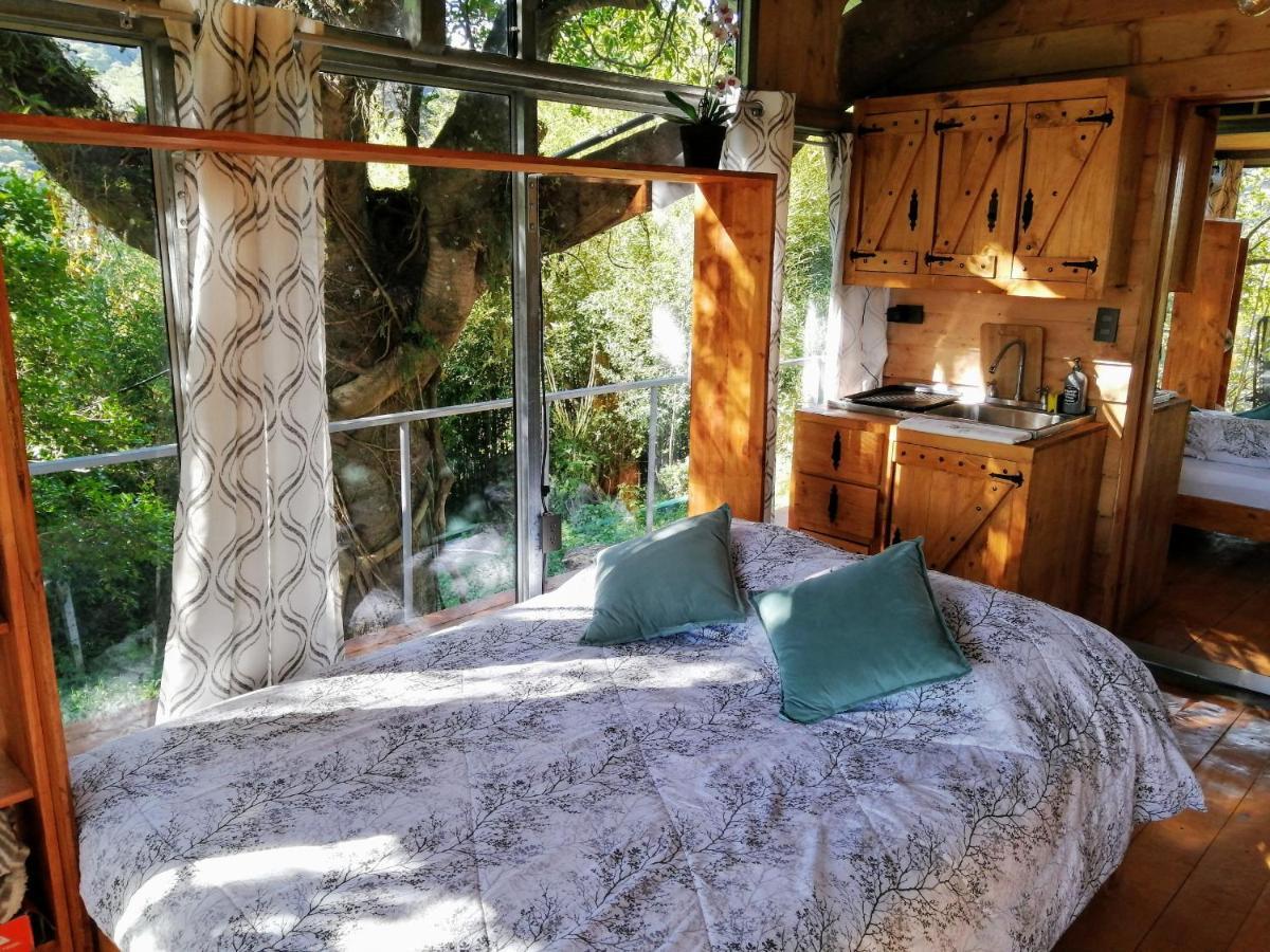 Cabana Treehouse Mountain View San Isidro (Heredia) Exterior foto