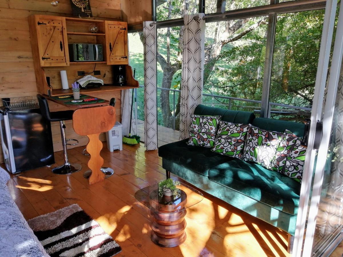 Cabana Treehouse Mountain View San Isidro (Heredia) Exterior foto